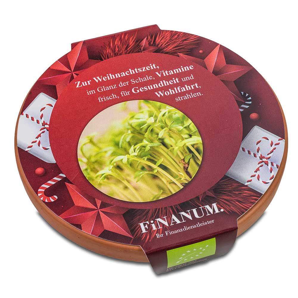 Vitamin-Schale - Weihnachten - Kresse