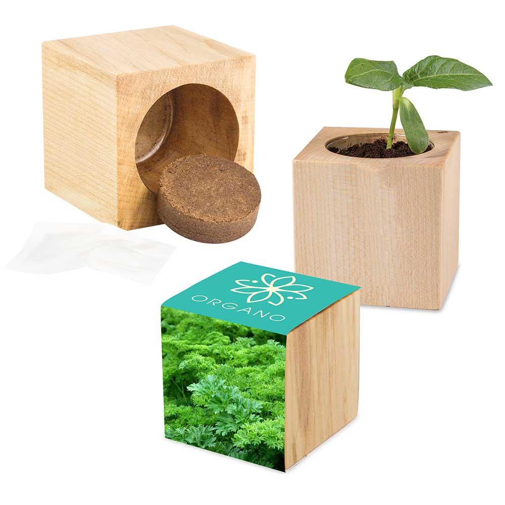 Pflanz-Holz Maxi mit Samen - Petersilie, 1 Seite gelasert