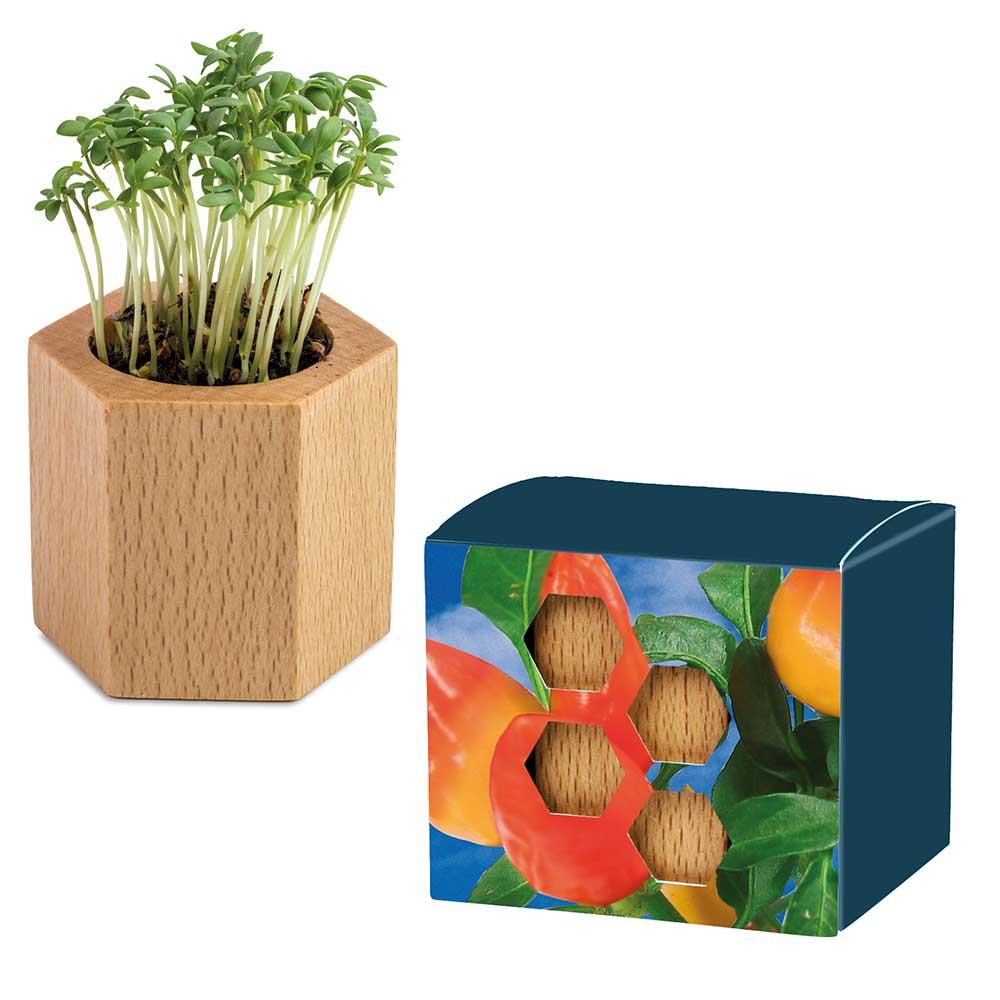 Pflanz-Holz Hexagon mit Samen - Ostern - Gewürzpaprika