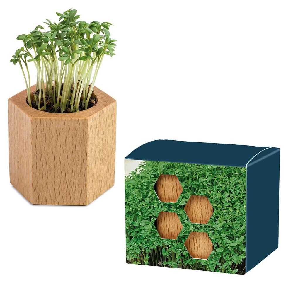 Pflanz-Holz Hexagon mit Samen - Ostern - Gartenkresse, 1 Seite gelasert