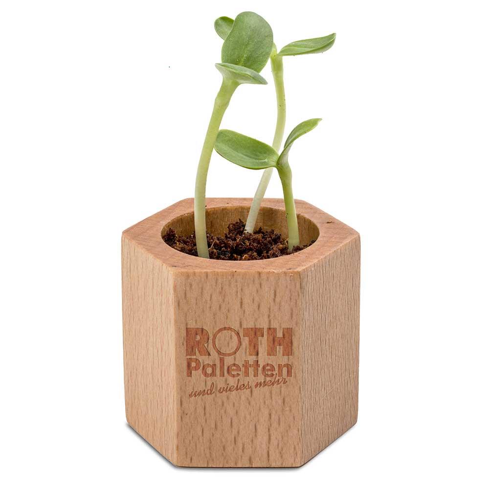 Pflanz-Holz Hexagon mit Samen - Ostern - Gewürzpaprika, 1 Seite gelasert