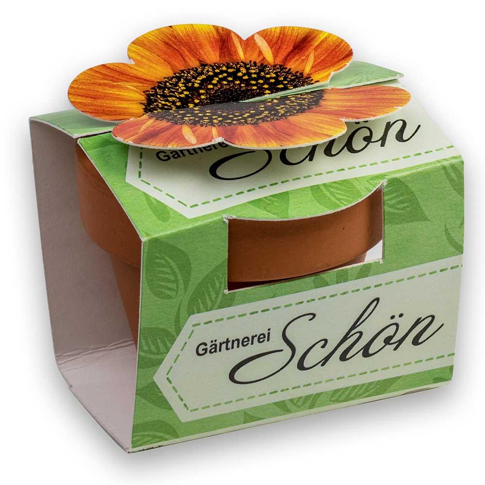 Tontöpfchen-Blume mit Samen - Ostern - Gewürzpaprika