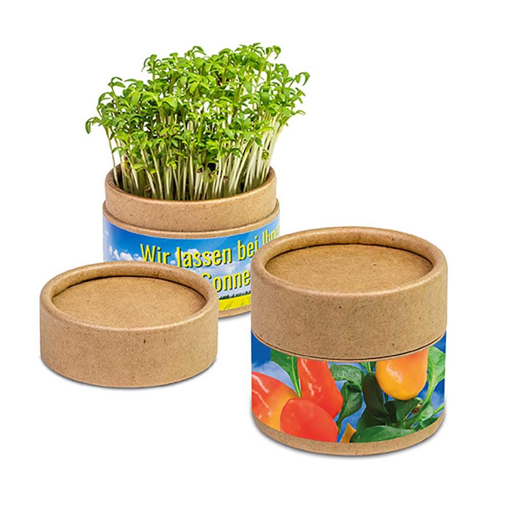Pflanz-Cup mit Samen - Ostern - Gewürzpaprika