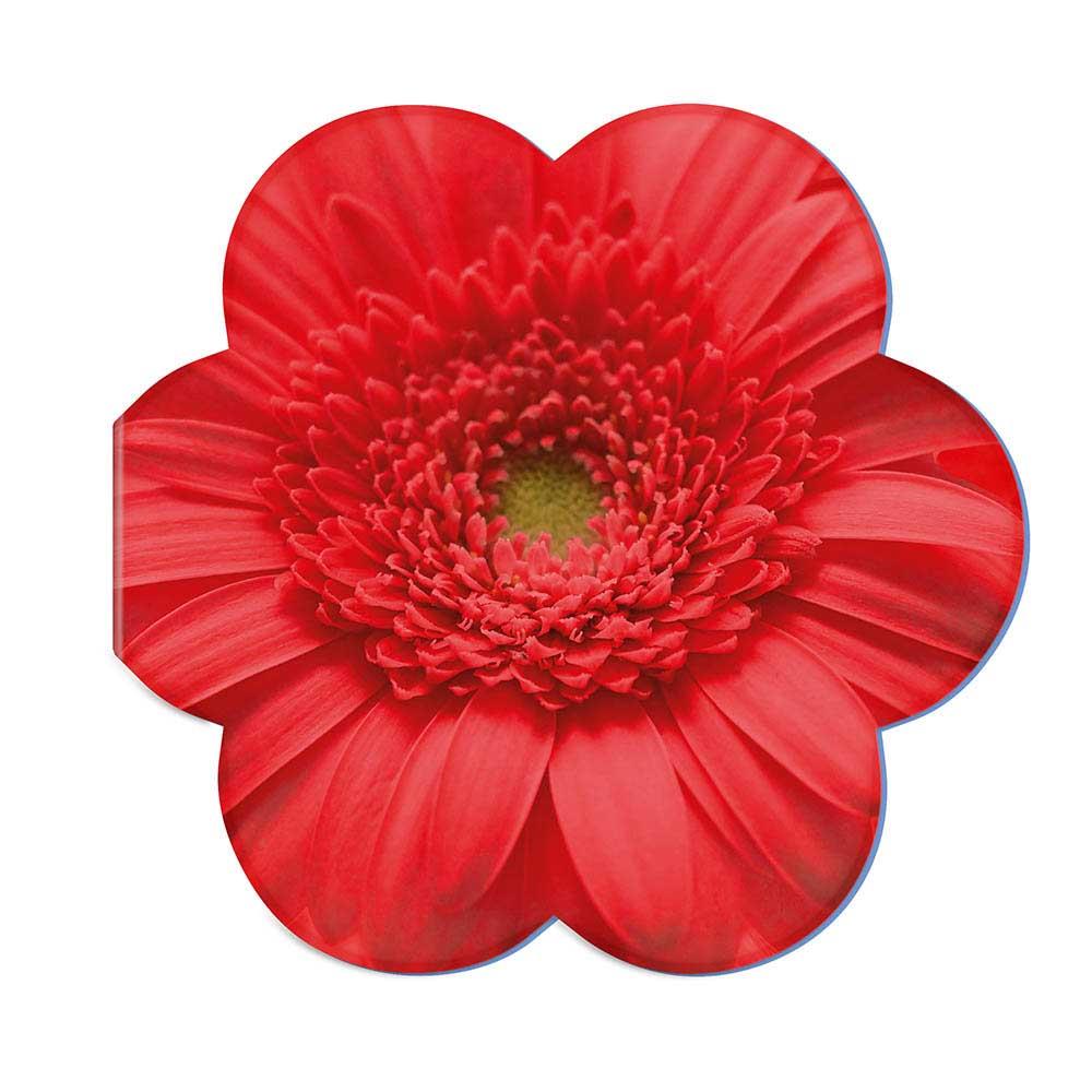 Samenpapier in Klappkärtchen Blume - Blümchen