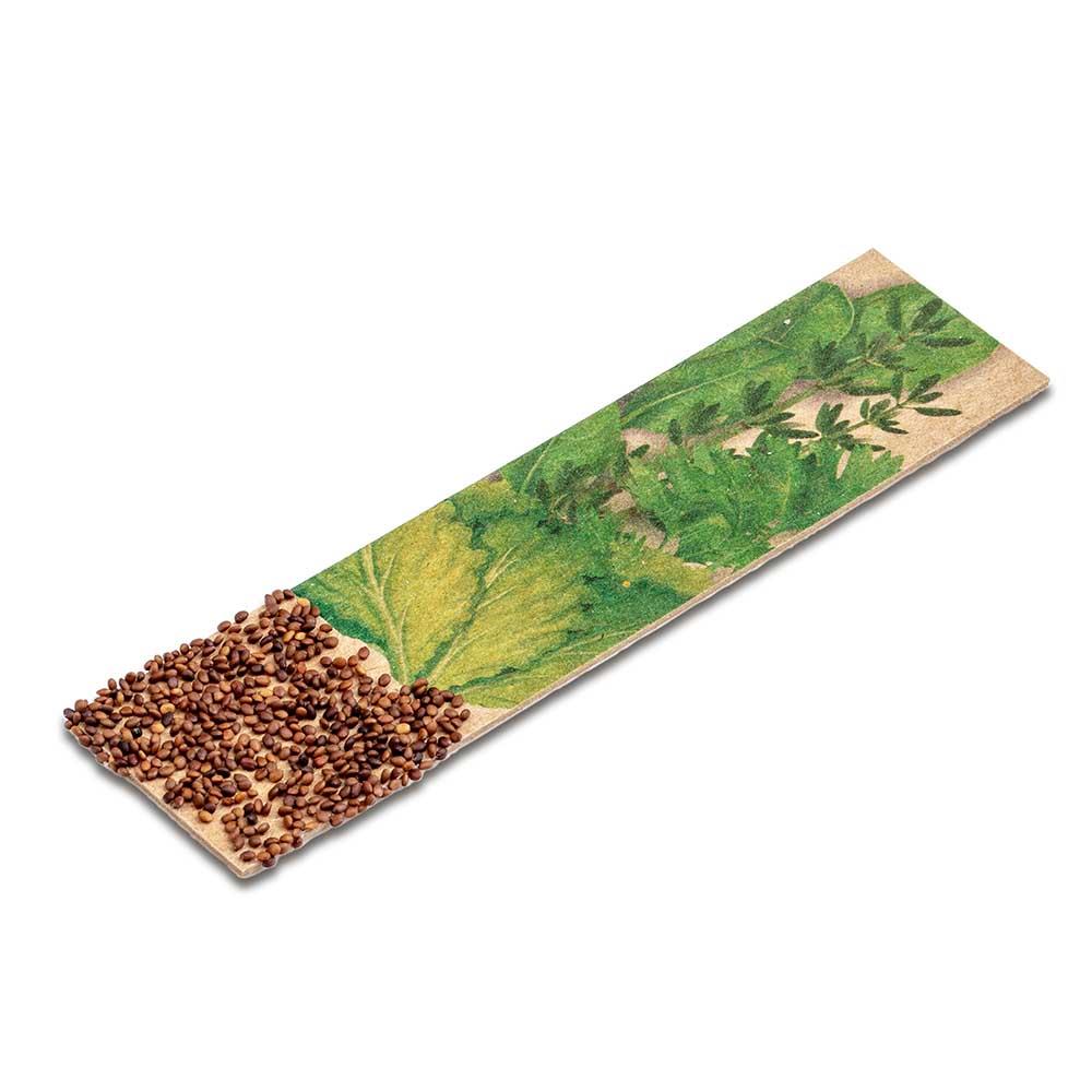 Kräuter-Stick mit Samen - Basilikum
