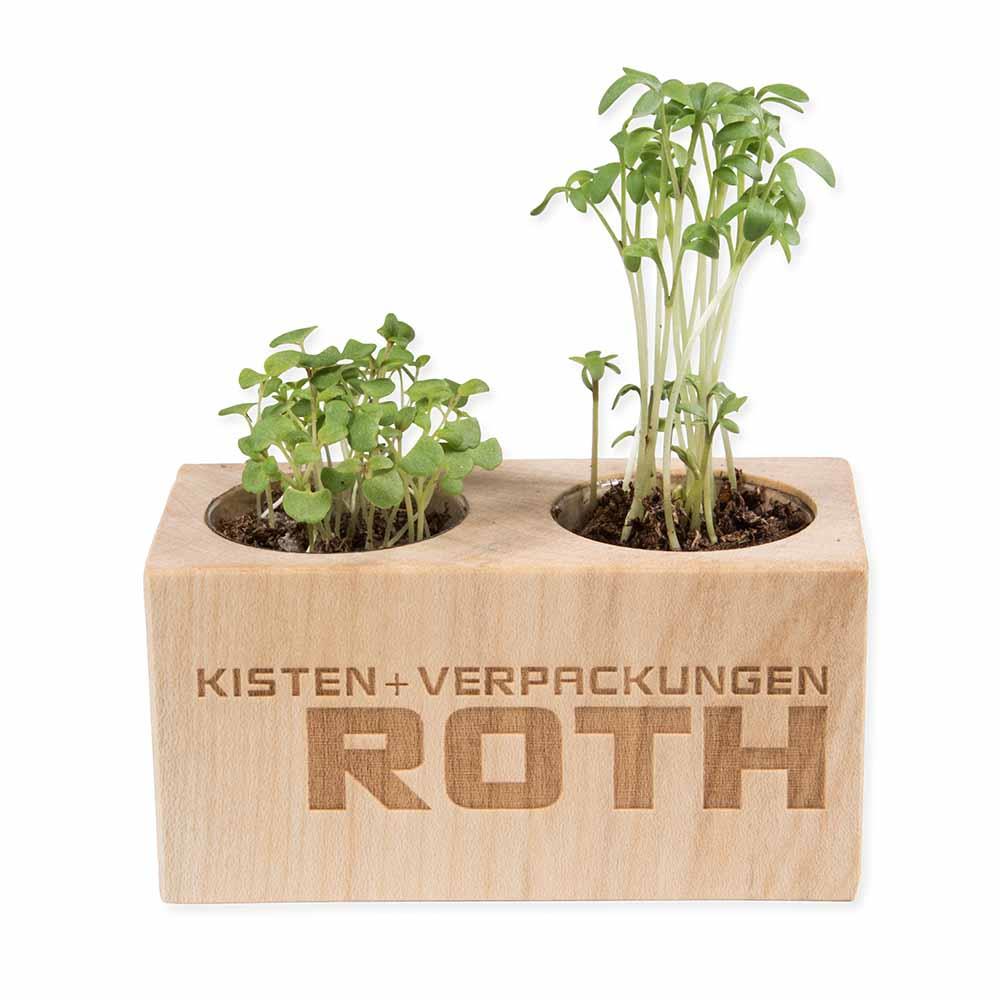 Pflanz-Holz 2er Set mit Samen - Sommerblumenmischung, 1 Seite gelasert
