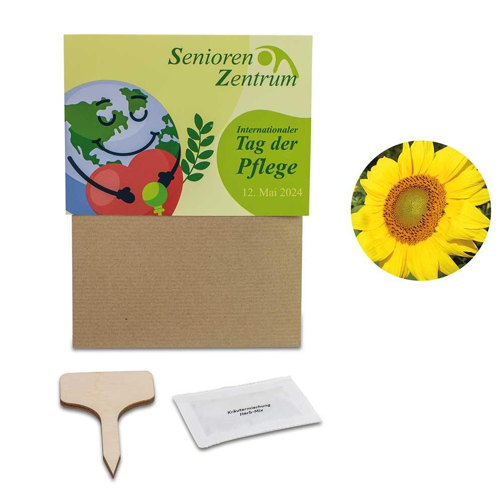 Pflanz-Set - 2er-Set - Sonnenblume / Margerite