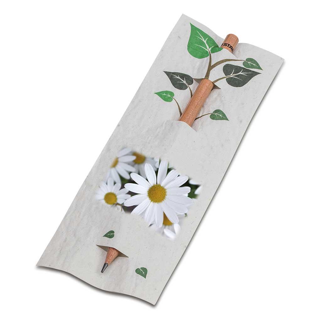 Bleistift im Samenpapieretui - Ostern - Margerite, Druck 4/4-c