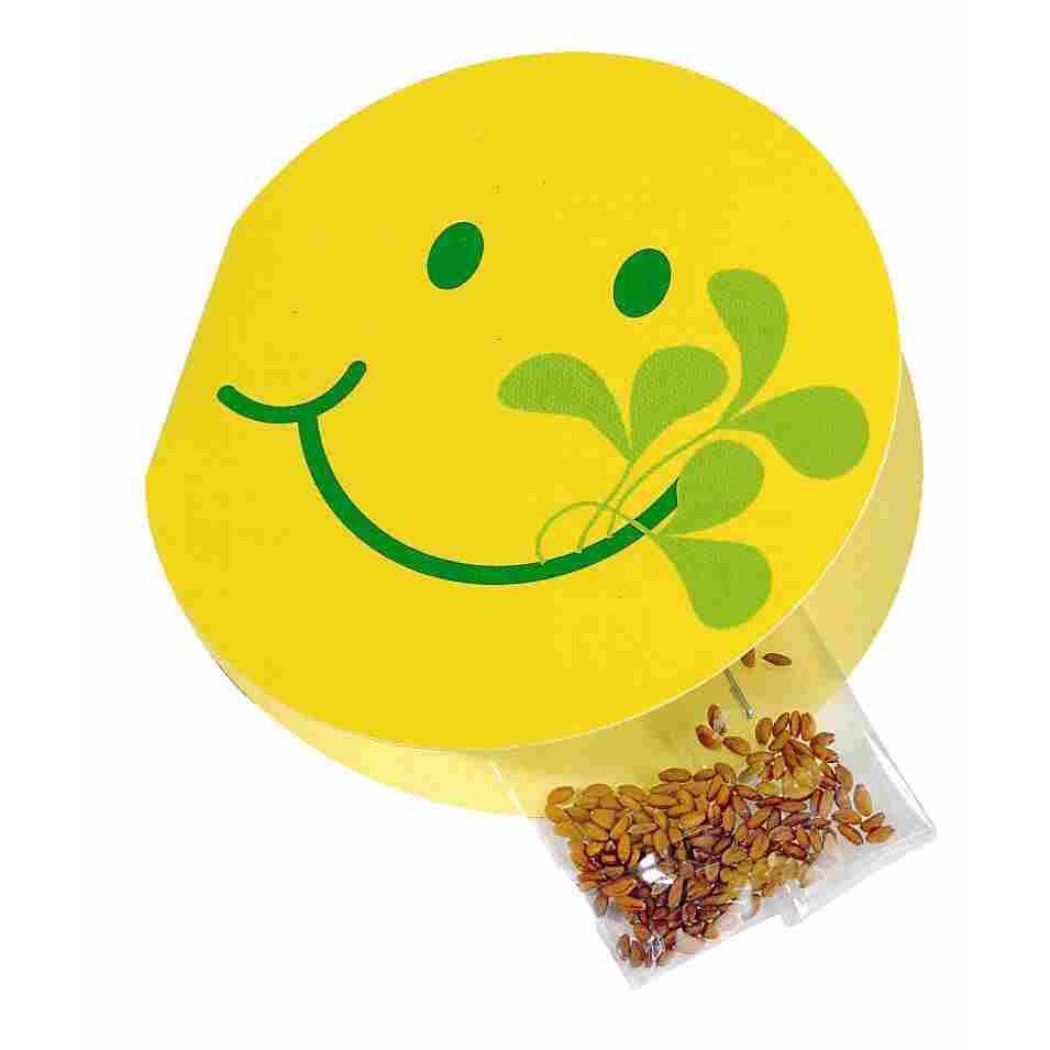 Klappkärtchen Smile fit