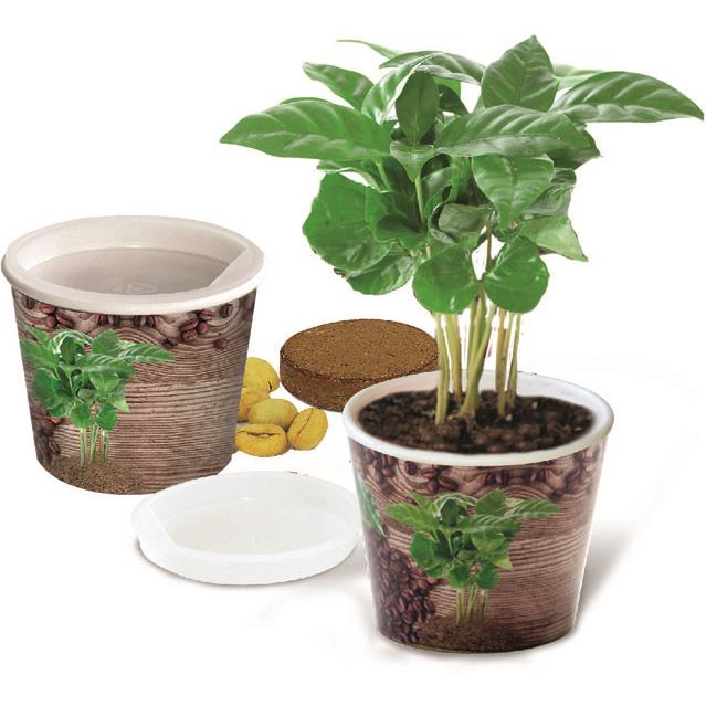 Coffee 2Grow