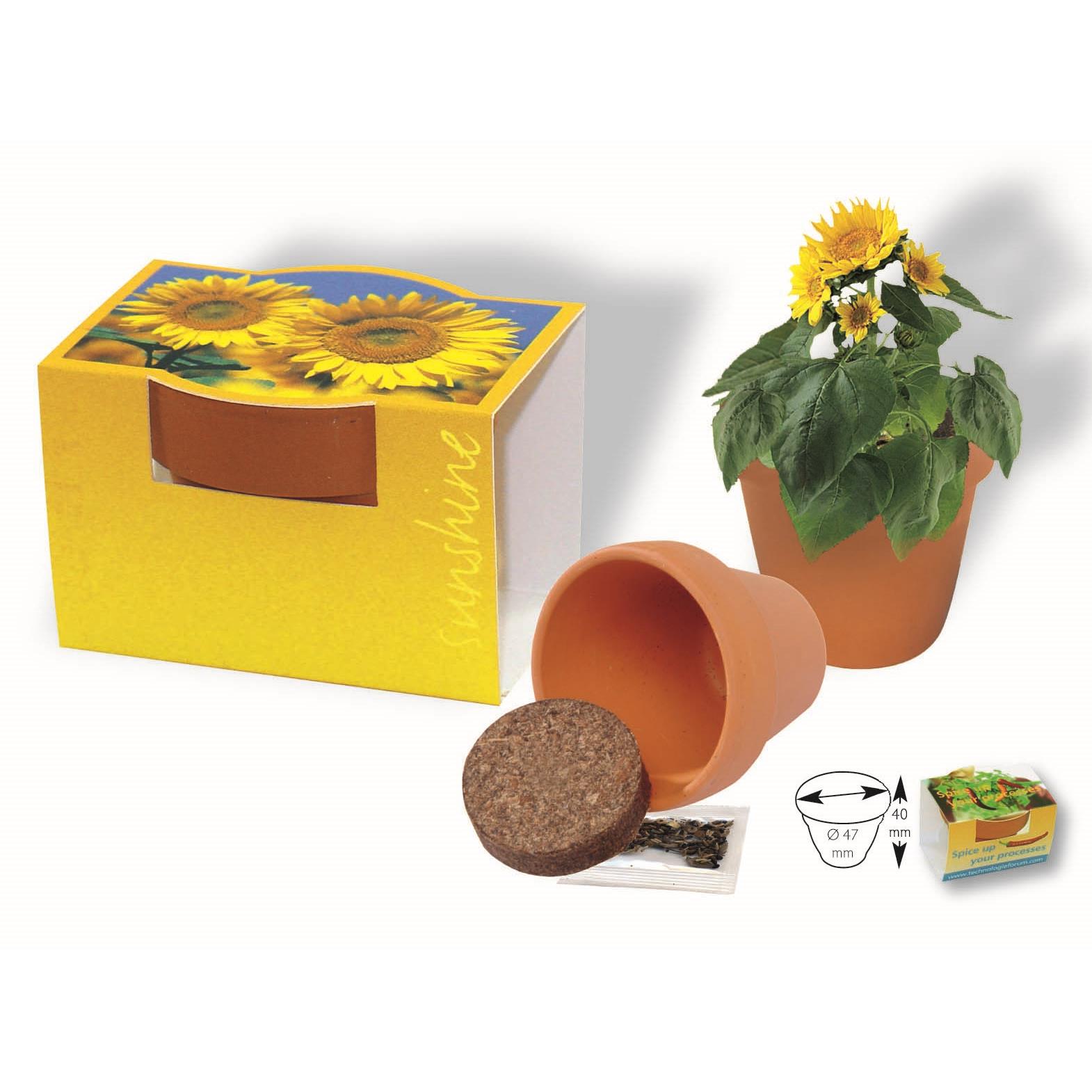 Tontöpfchen Sonne