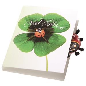 Klappkärtchen Glückskäfer