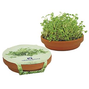 Kresse-Schale