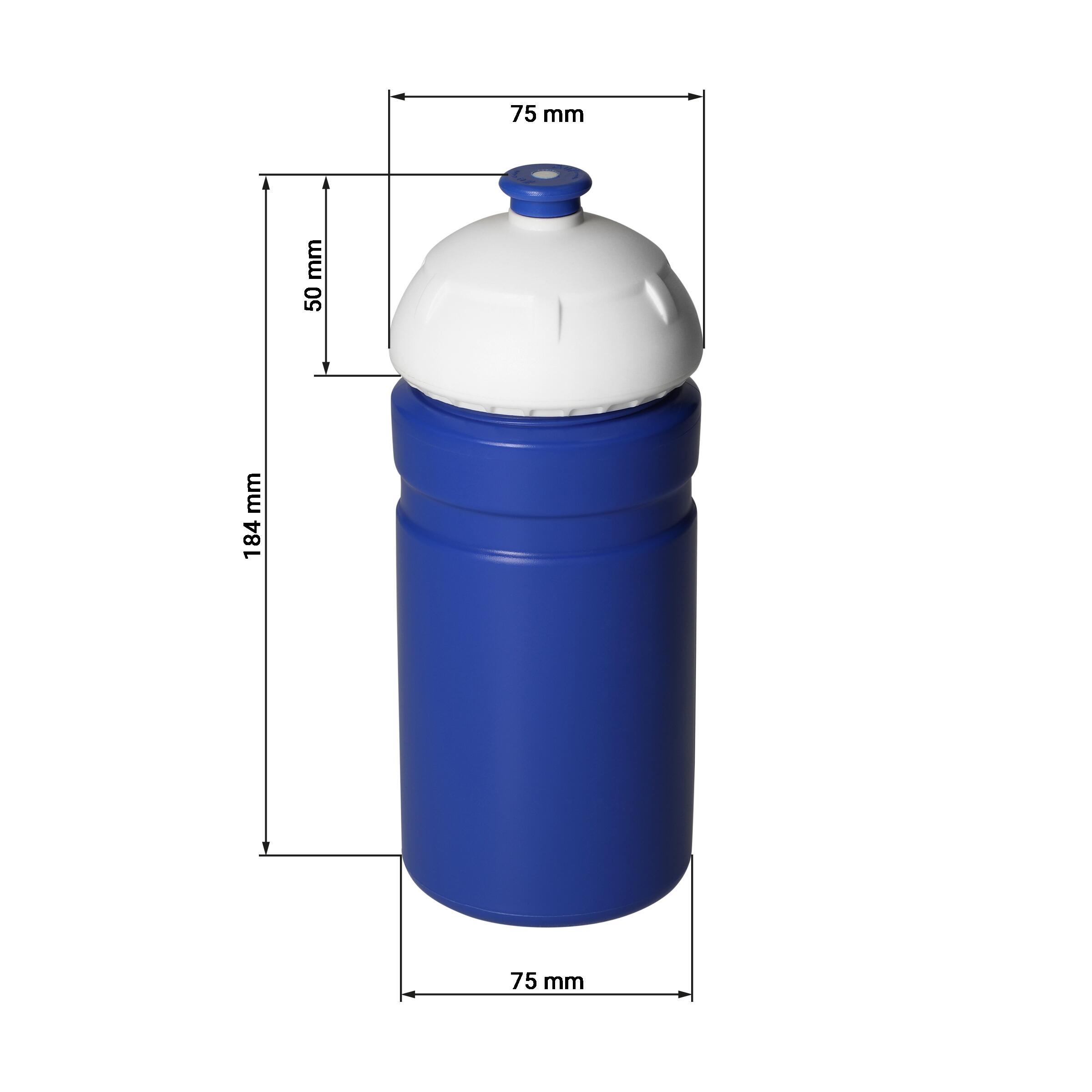 Trinkflasche ´Champion´ 0,55 l