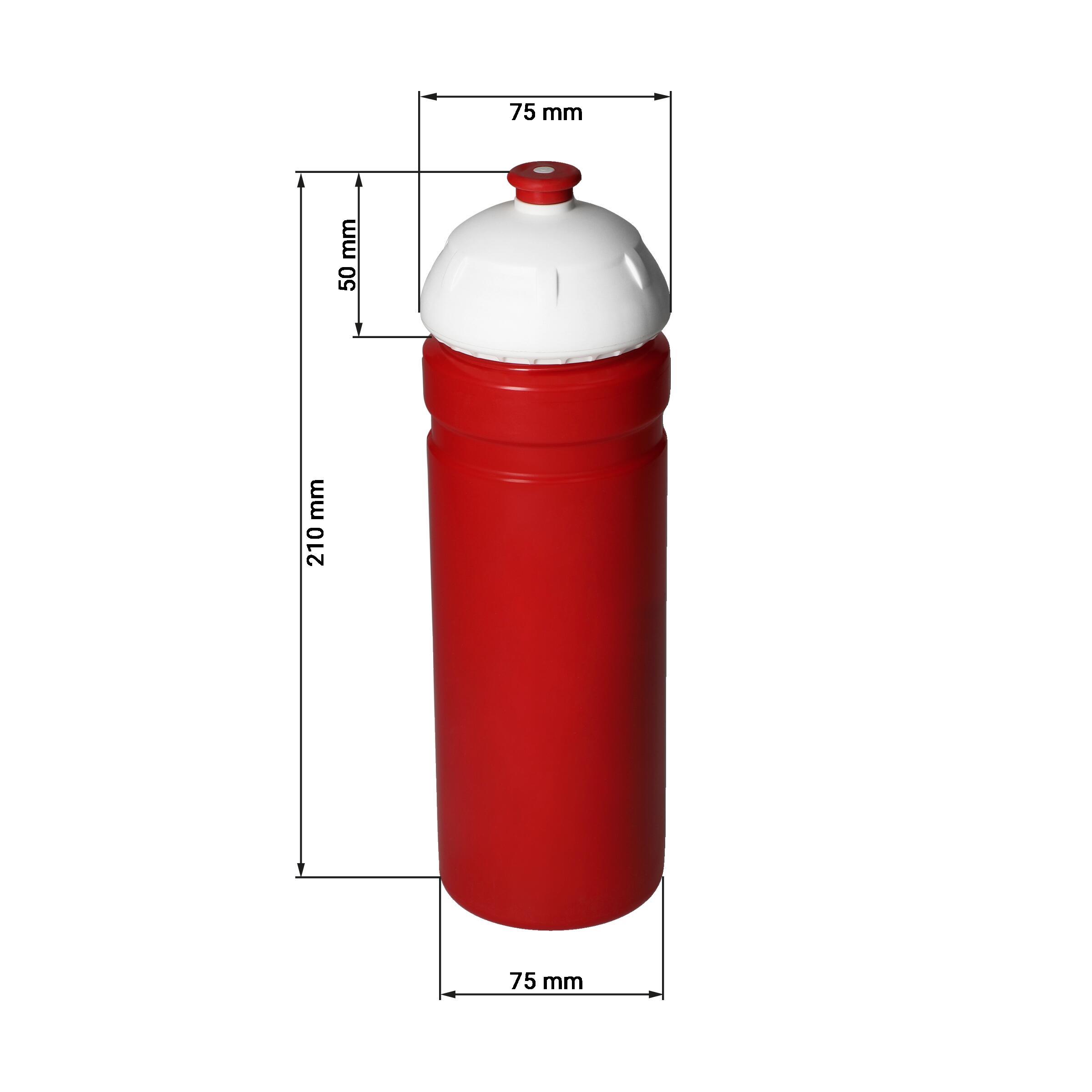 Trinkflasche ´Champion´ 0,7 l