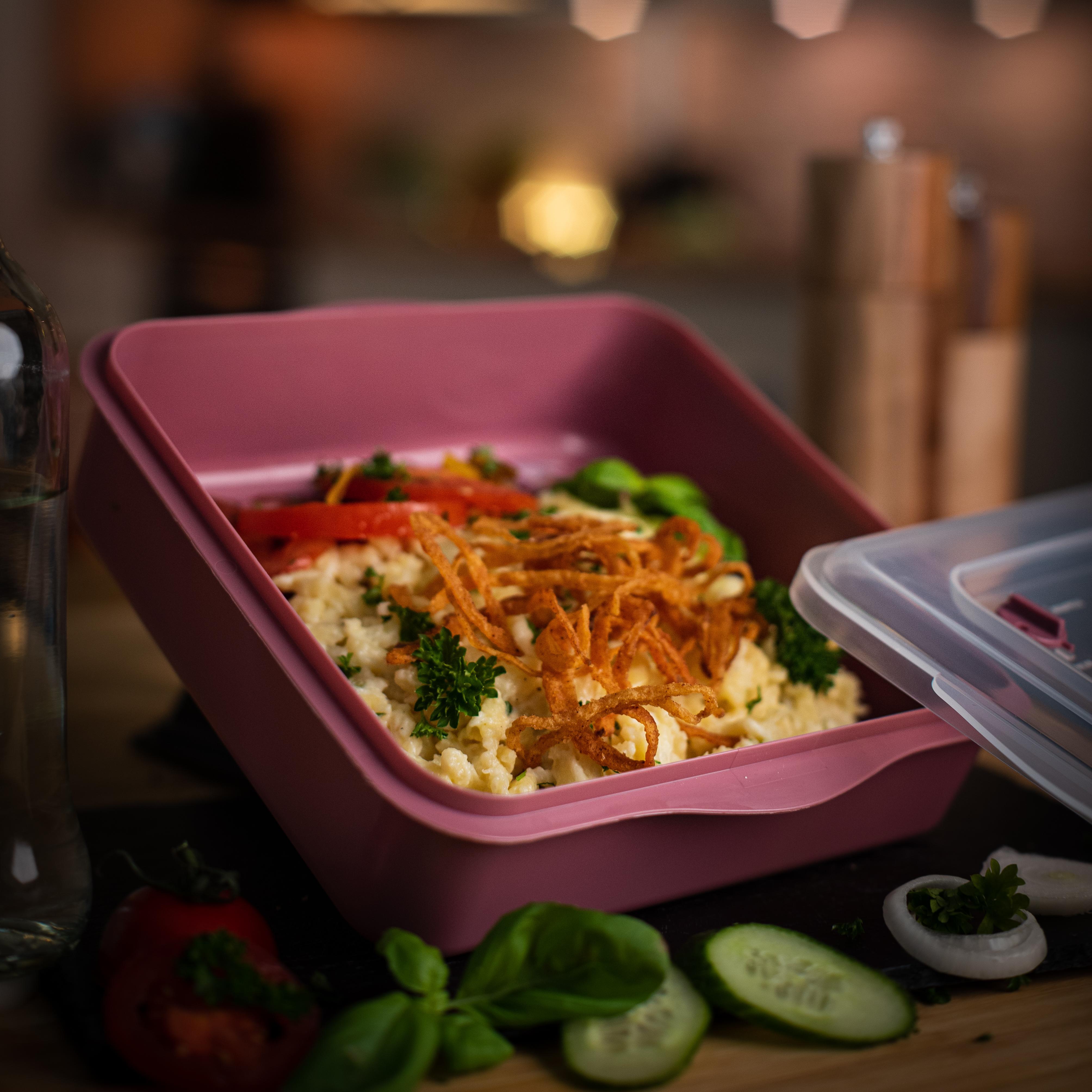 Universalbox „ToGo“