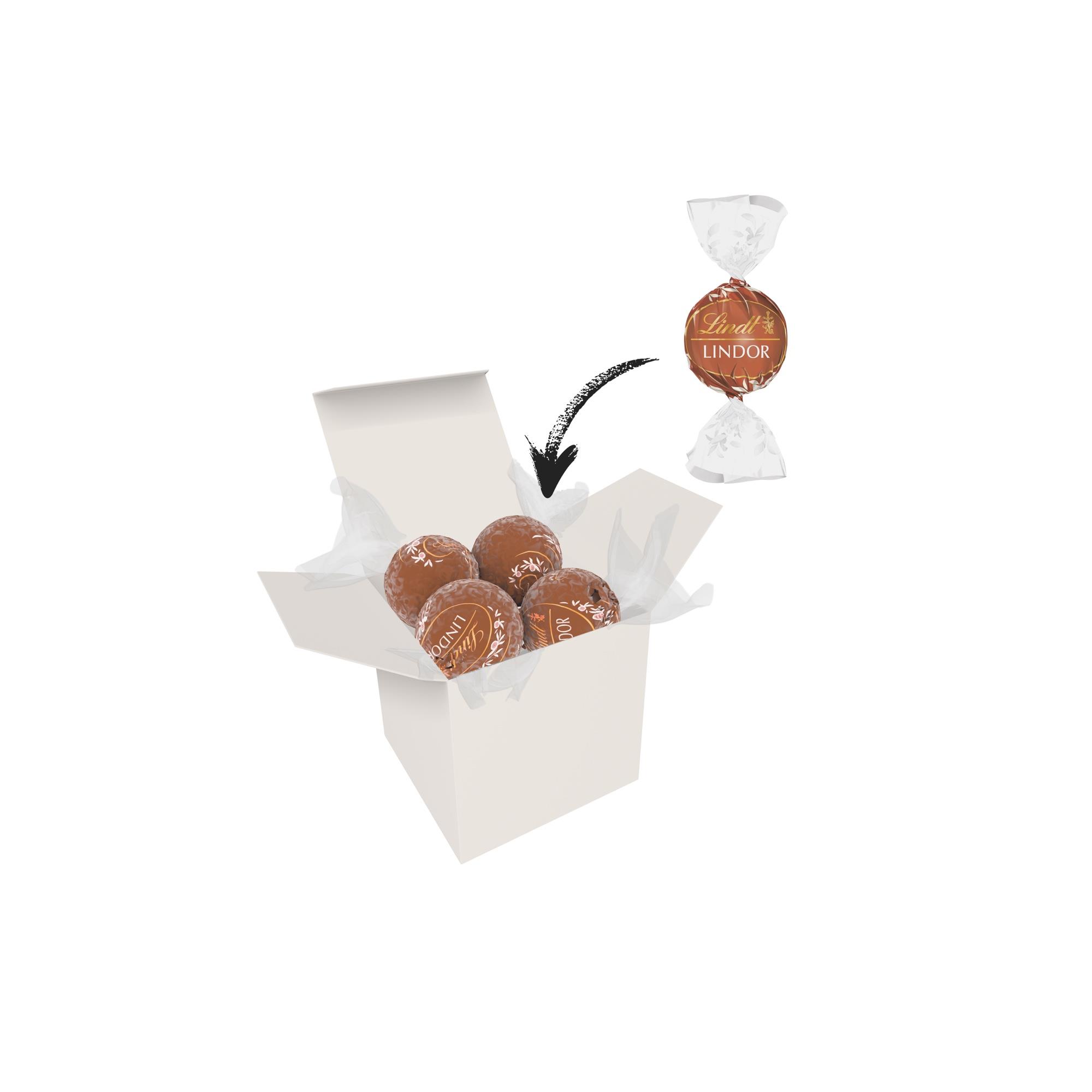 Color Lindor Box - Weiß - Haselnuss
