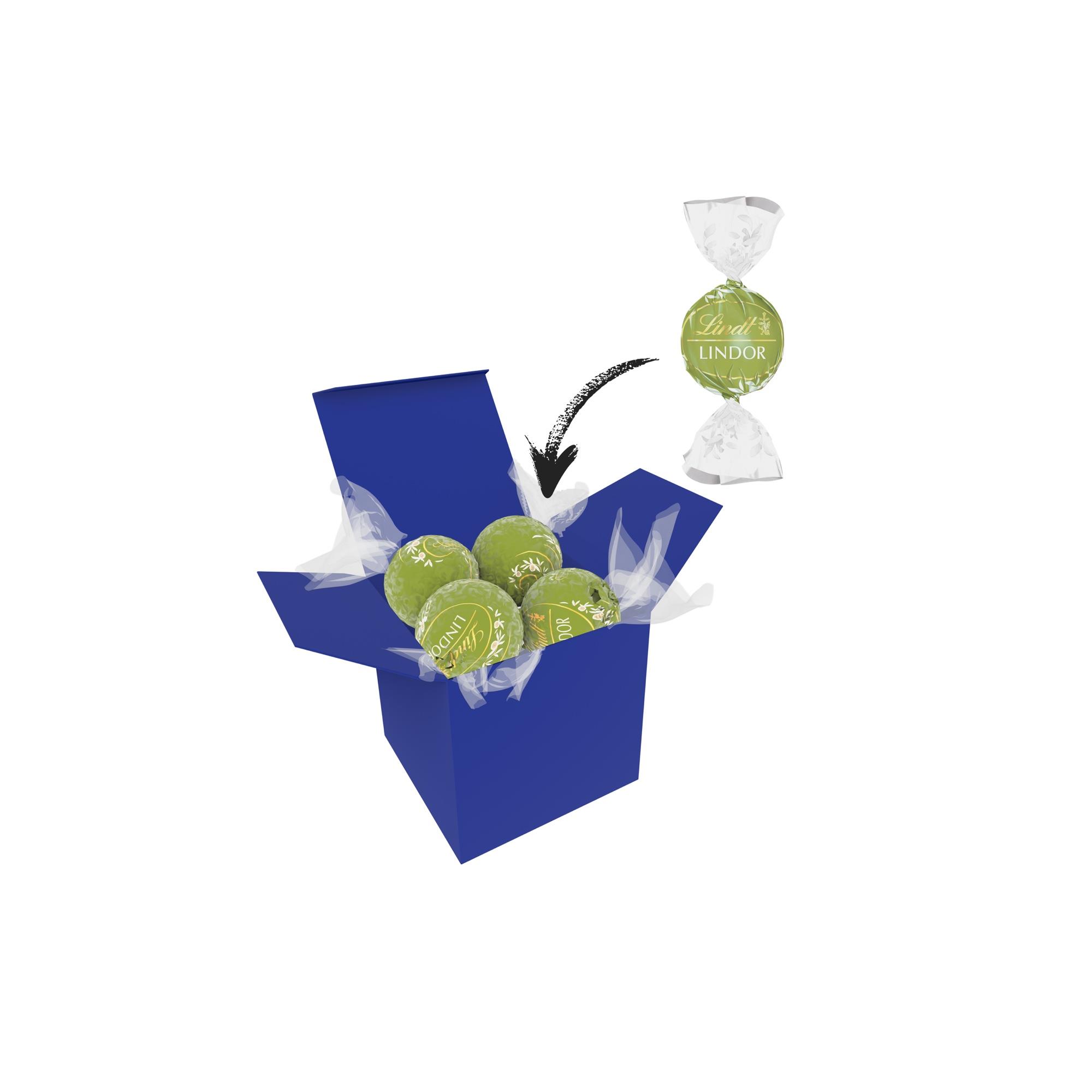 Color Lindor Box - Dunkelblau - Pistazie