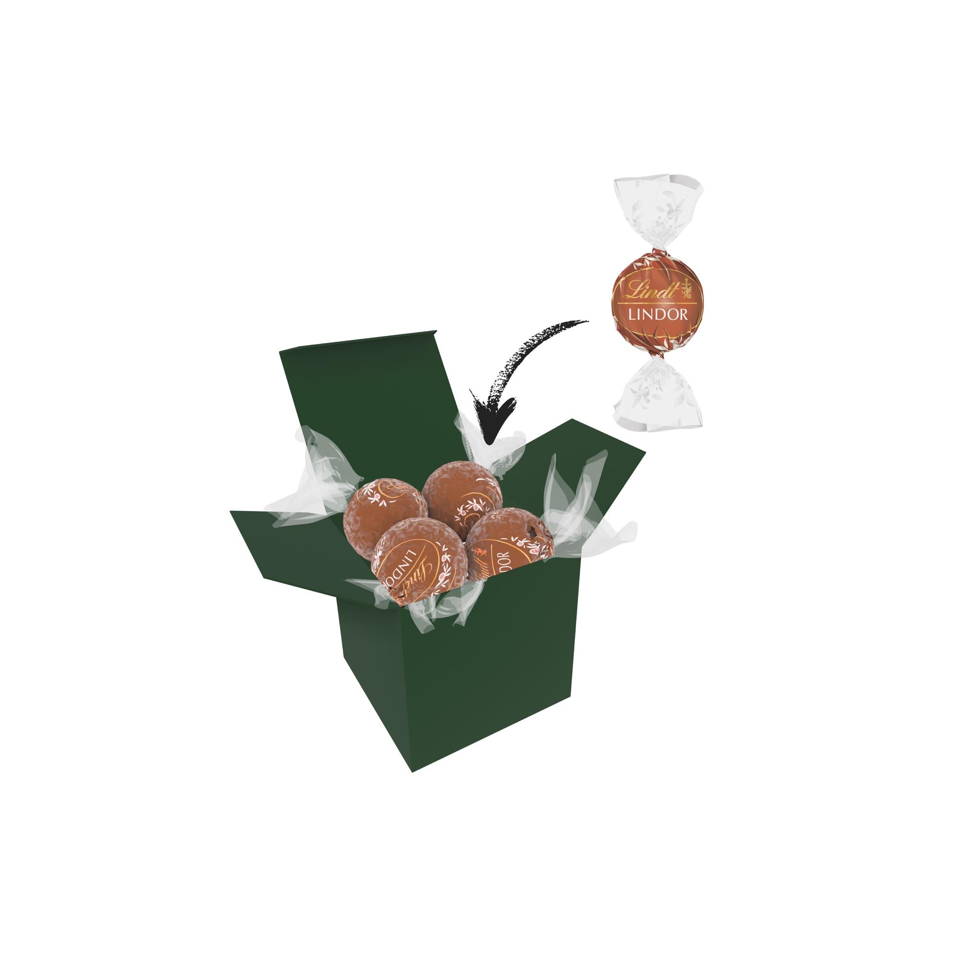 Color Lindor Box - Dunkelgrün - Haselnuss