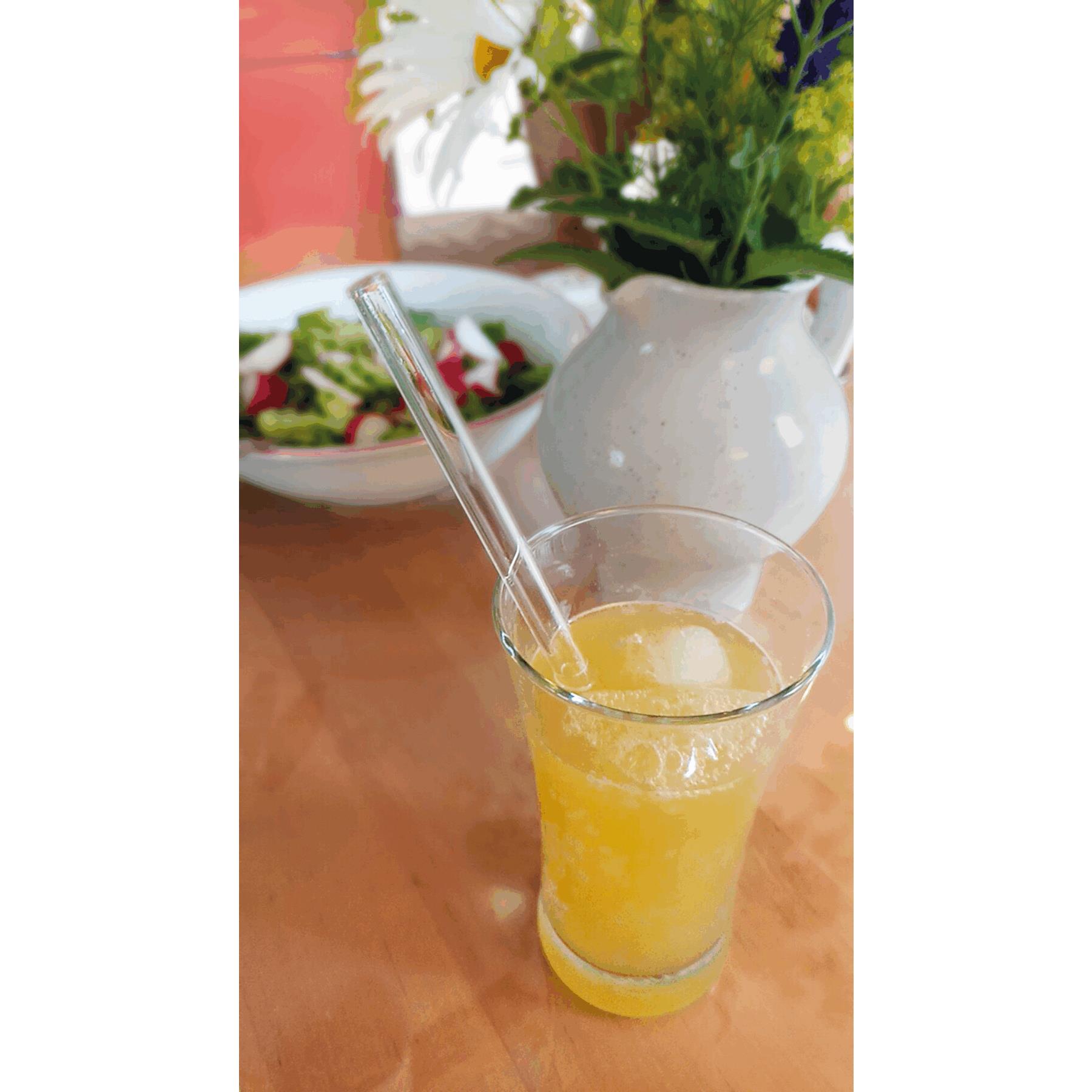 DRINK SMART - Glas-Strohhalm