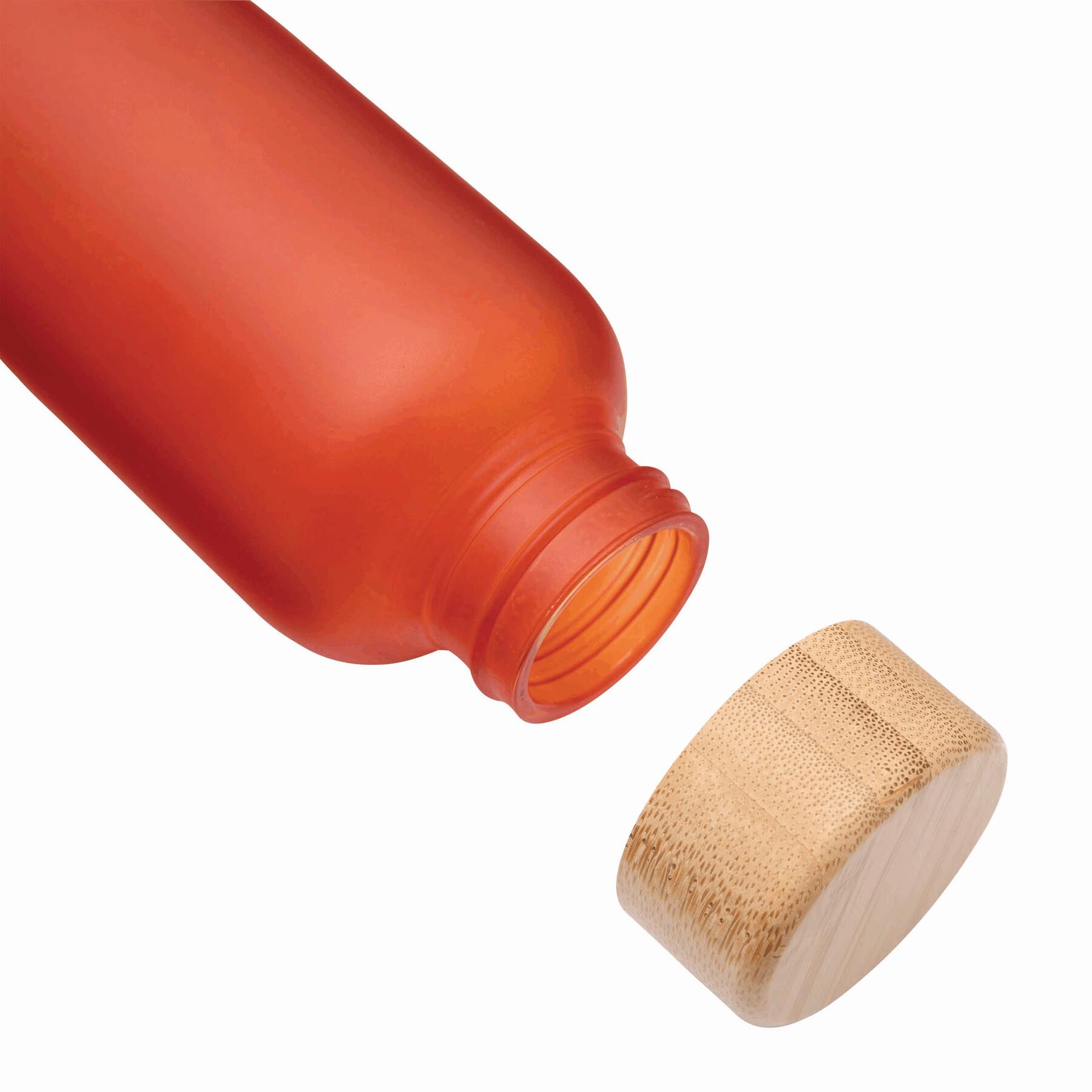 TAKE FROSTY - Glas-Flasche