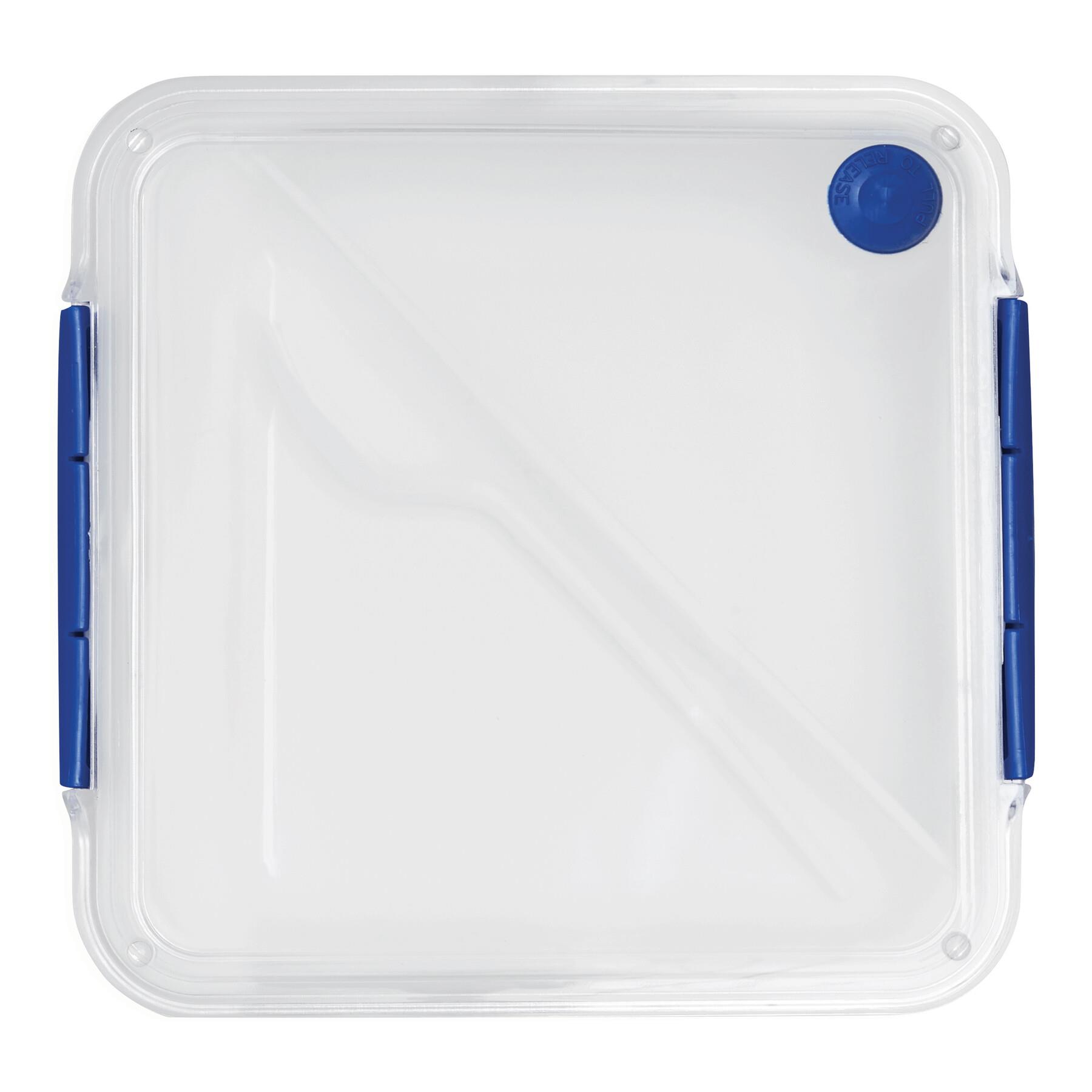 DELICIOUS - Lunchbox