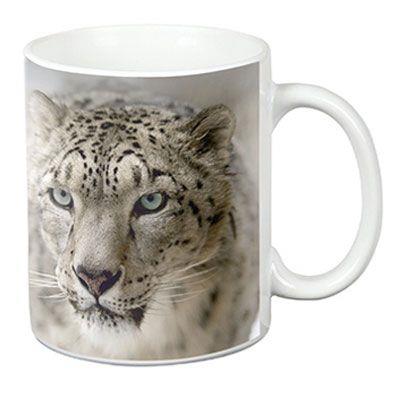 Tomek Art Solid