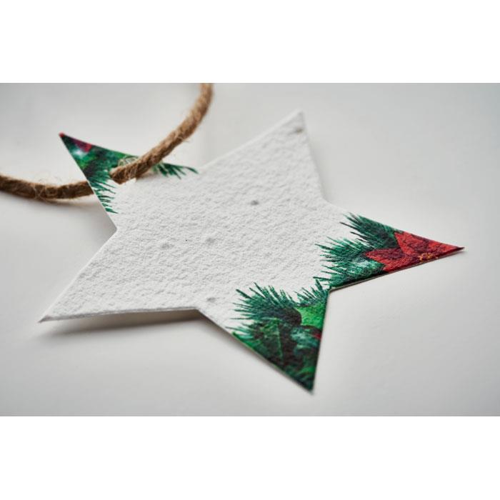 Weihnachtsschmuck Samenpapier