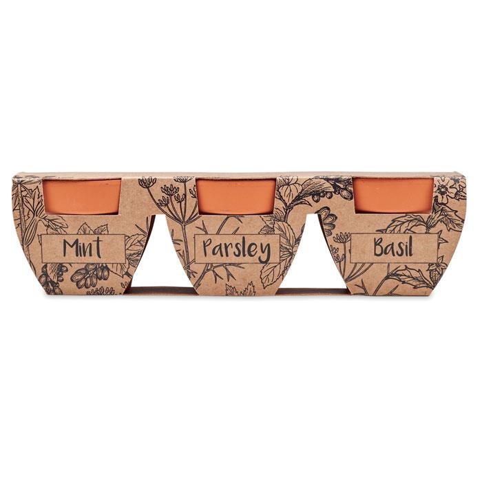 Terracotta-Set Kräuter