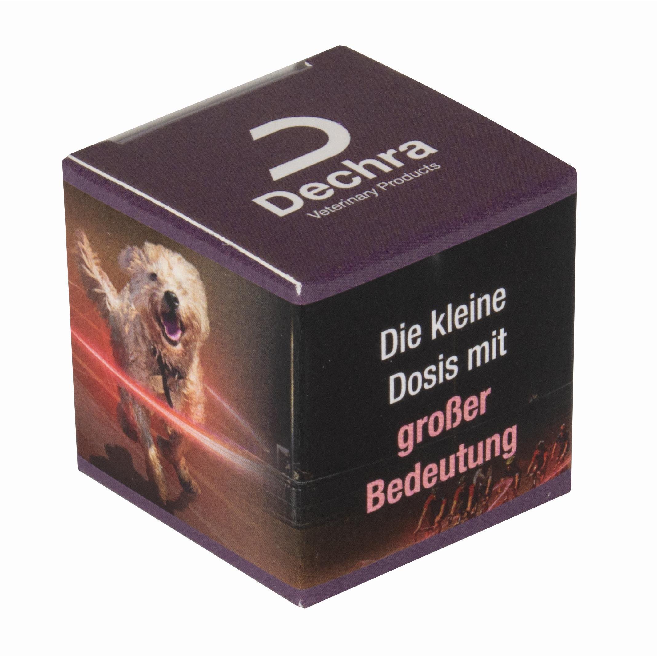 Schoko-Linsen VEGAN im Süßen Würfel