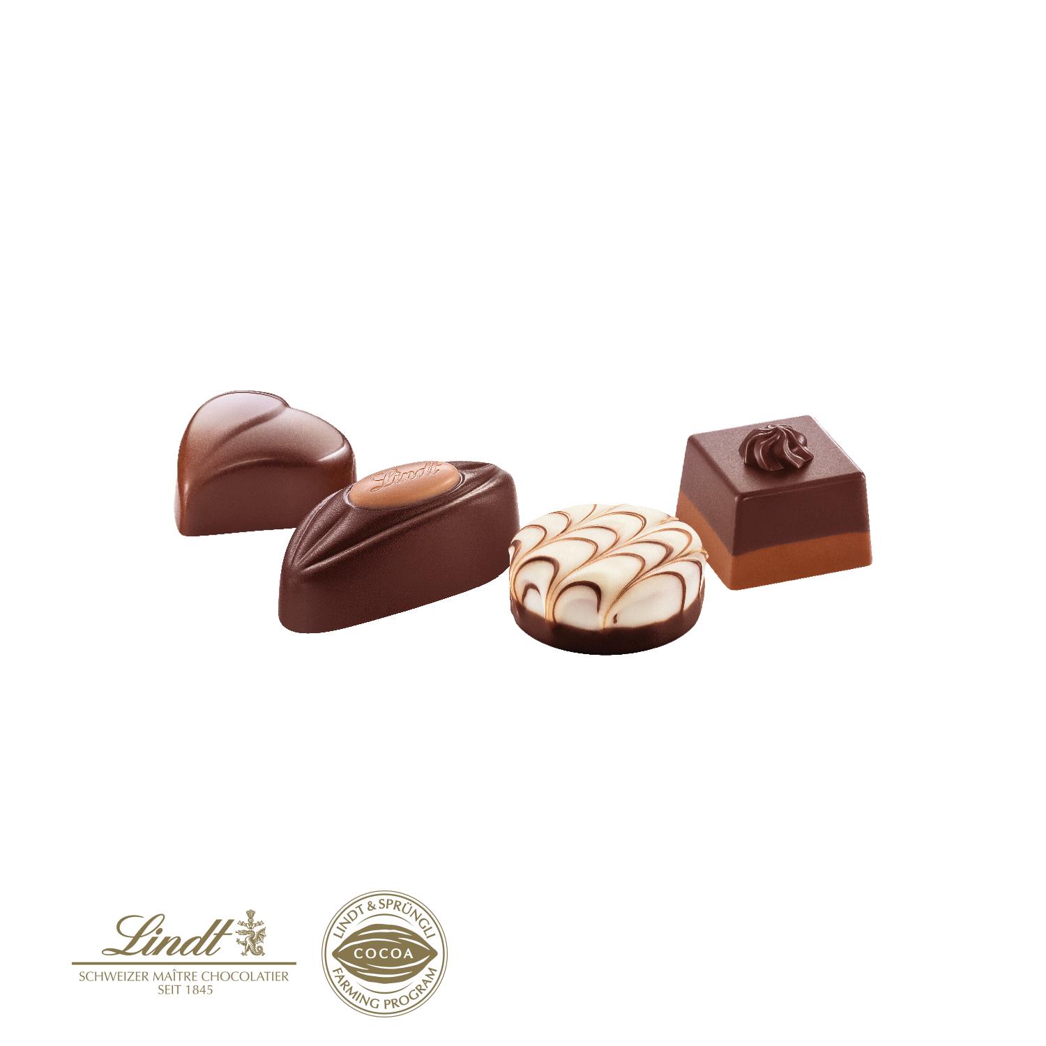 Lindt Pralinés ´Kleine Kostbarkeiten´ Lindt