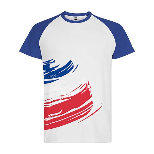 France Flag