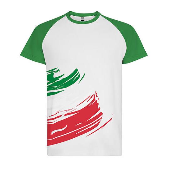 Italy Flag
