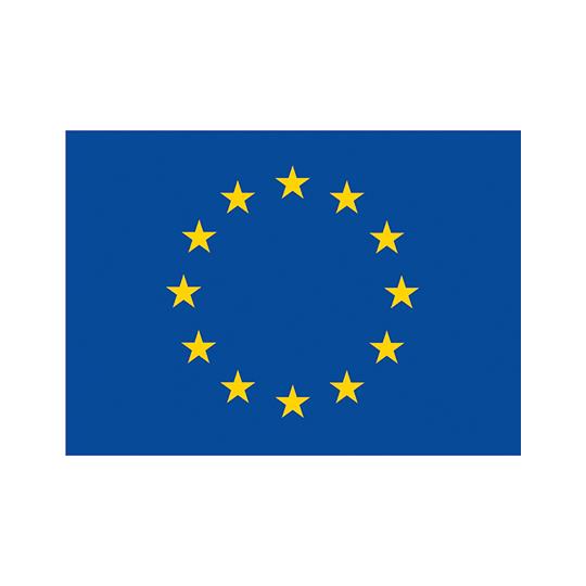 Fahne Europa