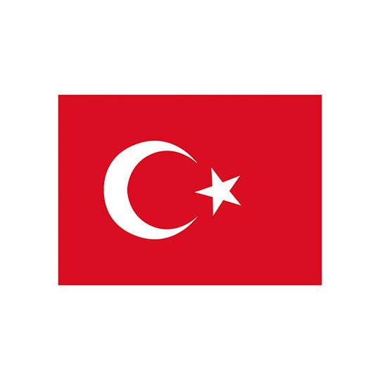 Fahne Türkei