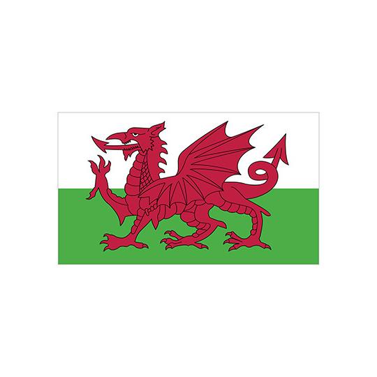 Fahne Wales