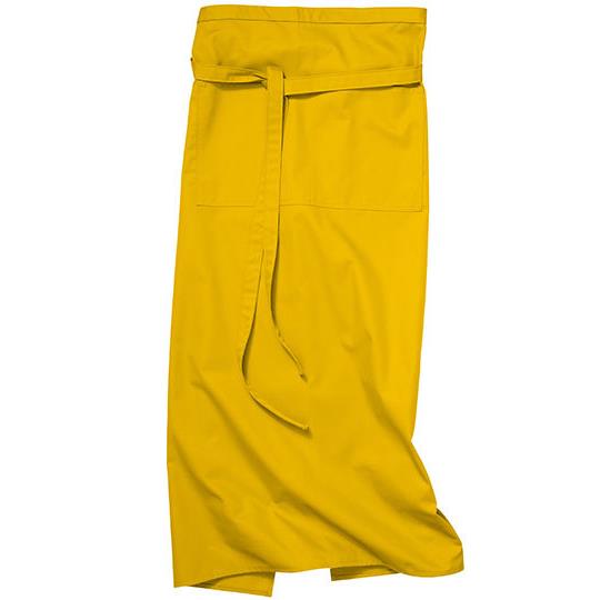 Sunshine
