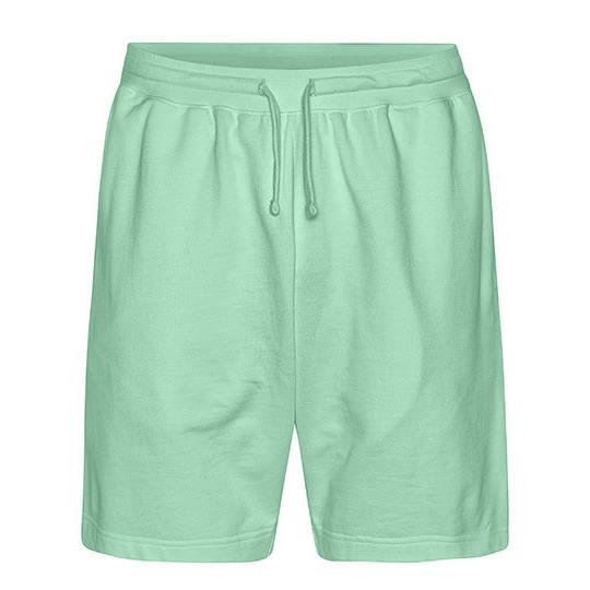 Dusty Mint