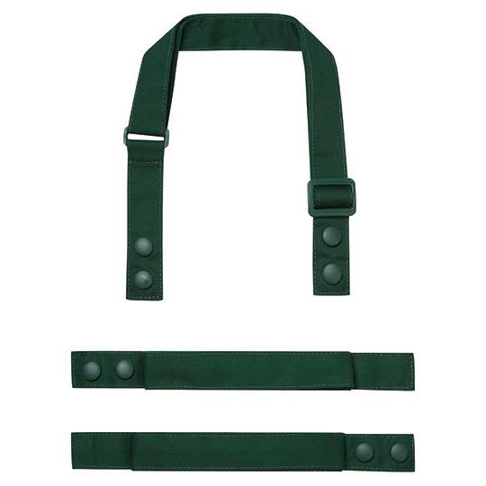 Bottle Green (ca. Pantone 7484C)