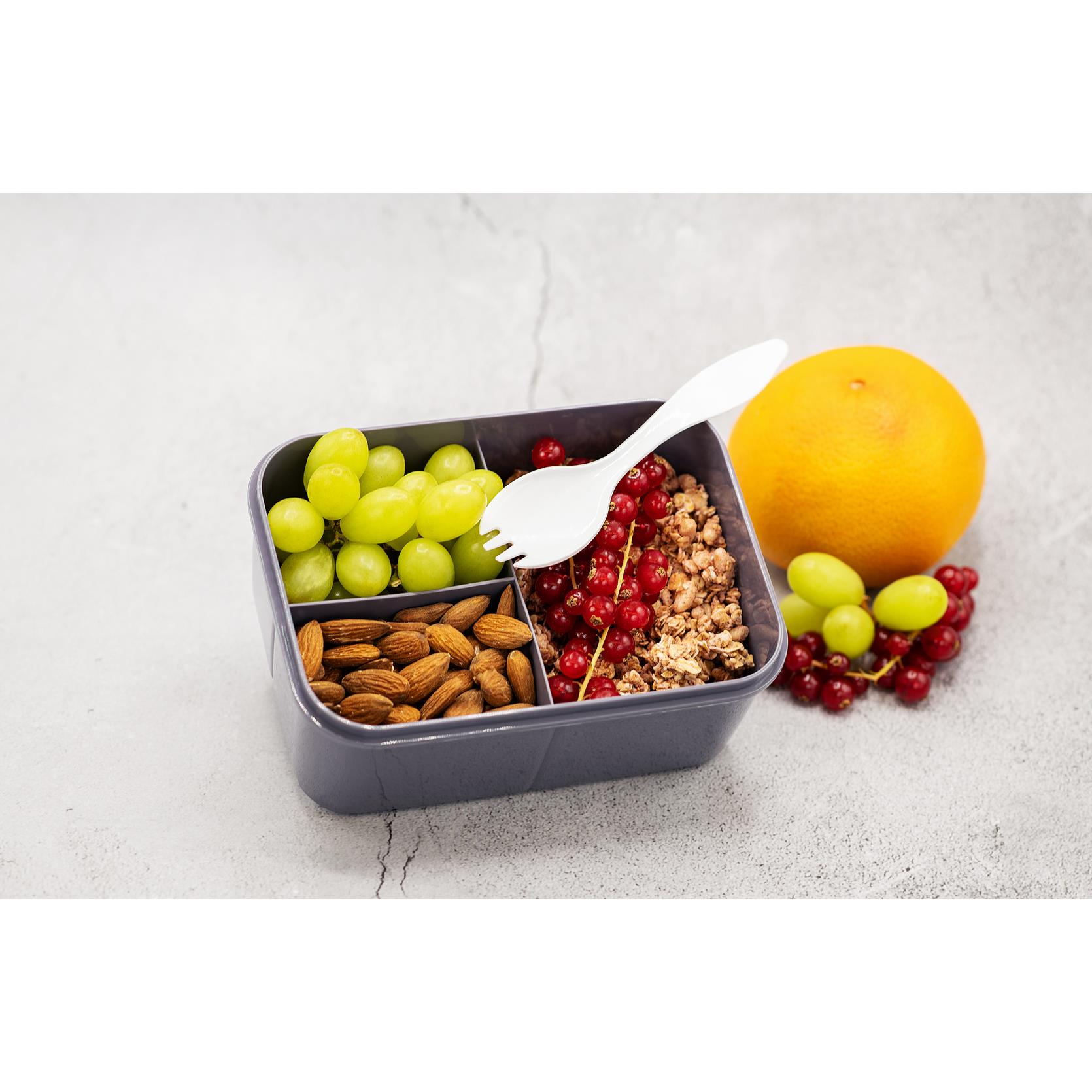 SNACK Lunchbox mit Inneneinteilung und Göffelfach