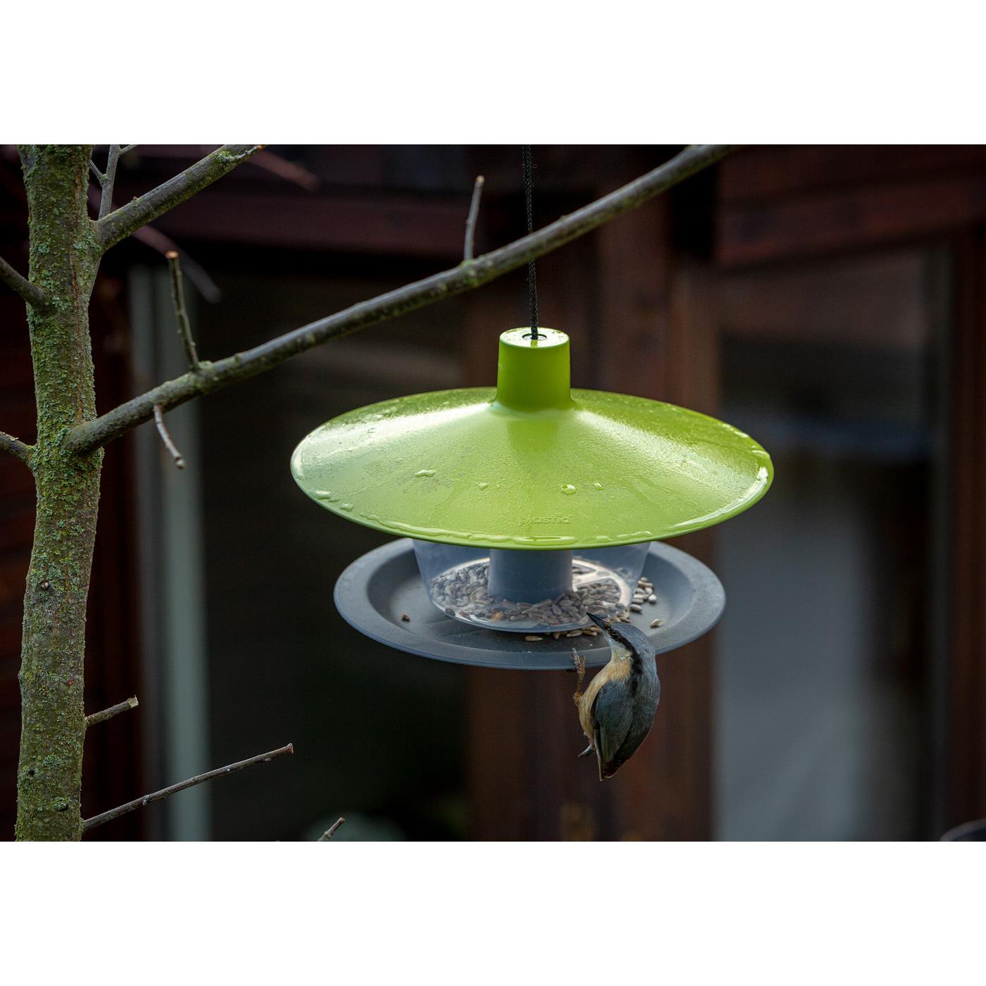 BIRDIE Vogel Futterhaus Made in Europe