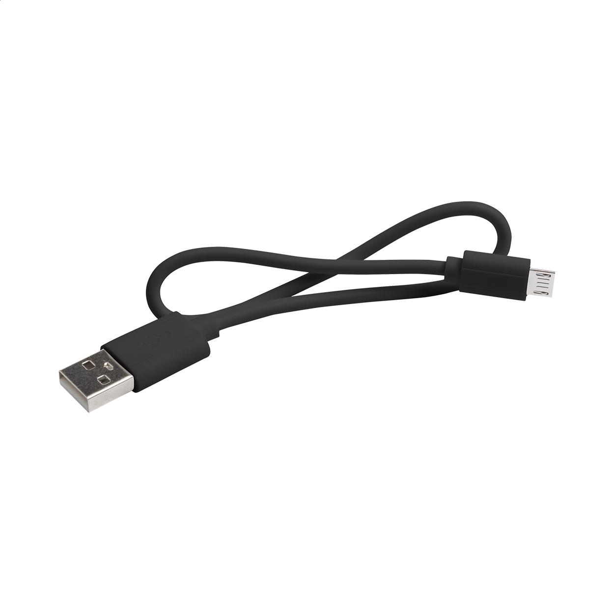 Powerbank