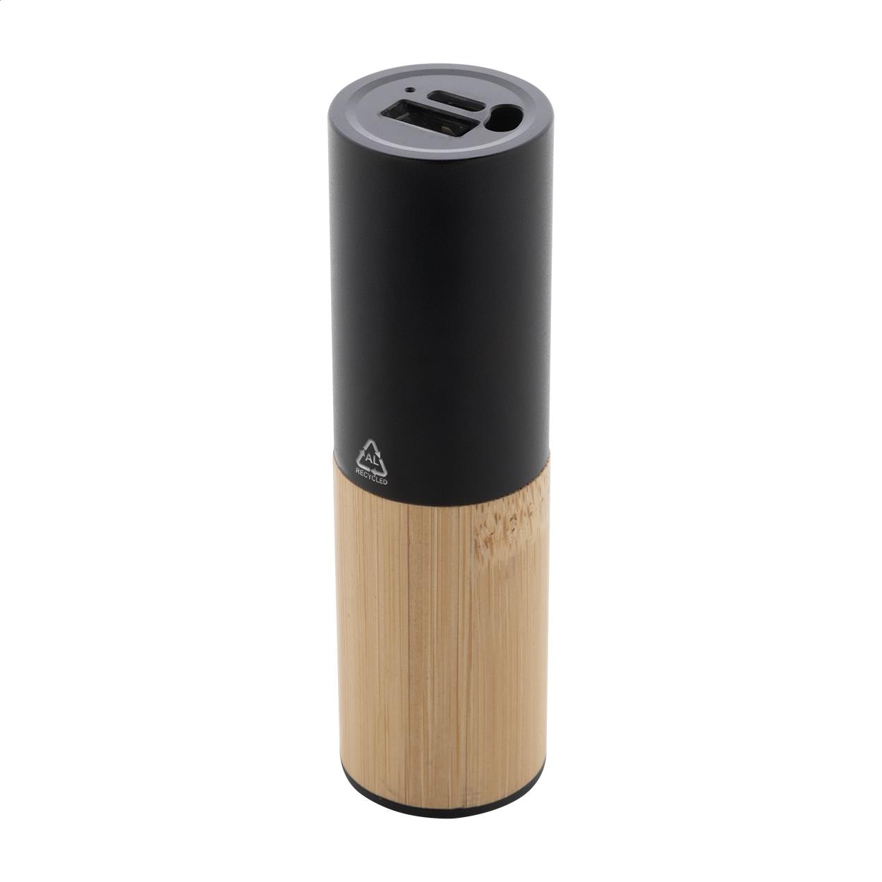 Powerbank