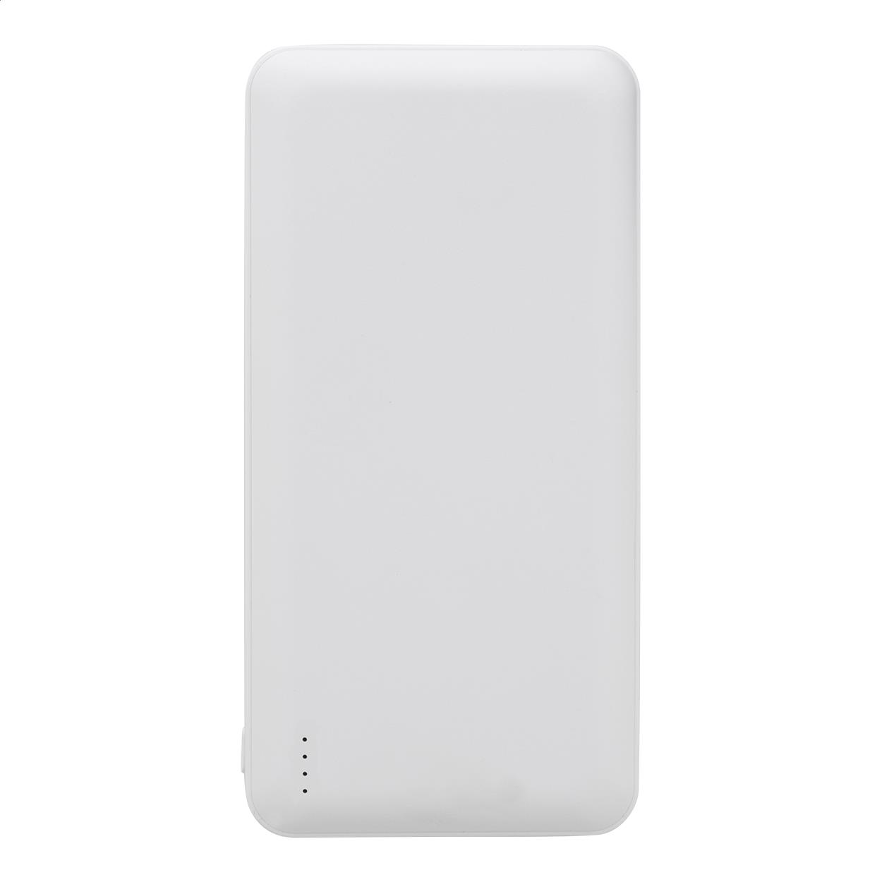 Powerbank RABS