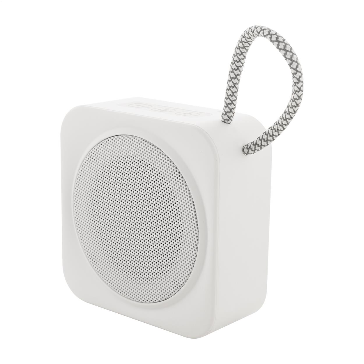 Funklautsprecher RABS