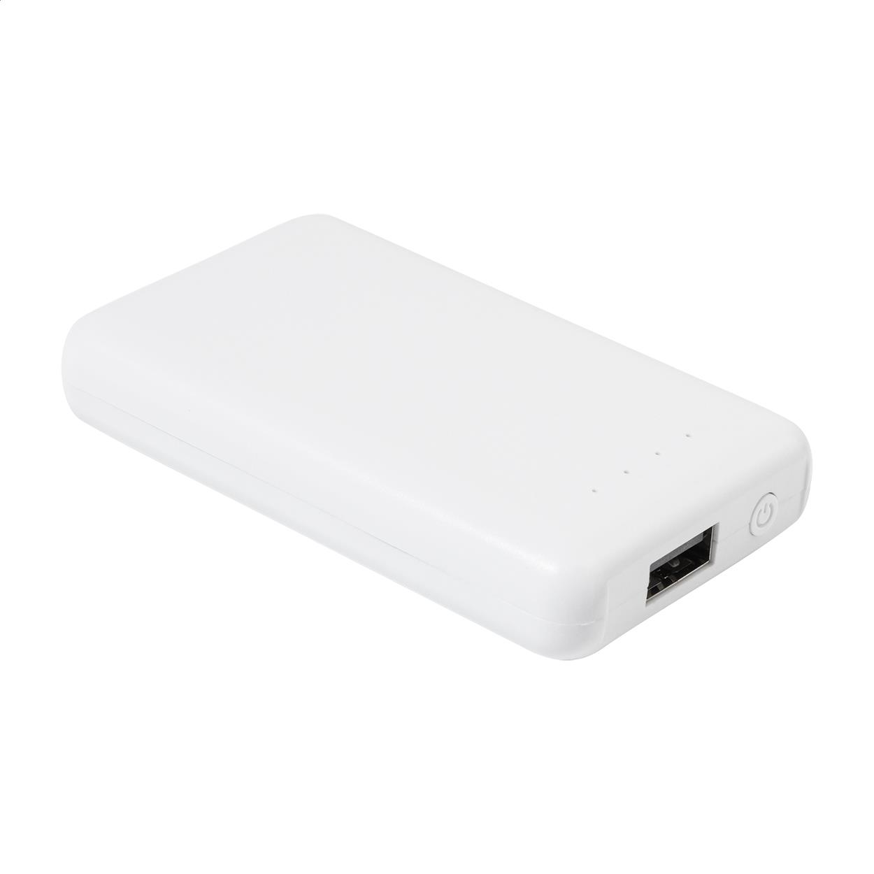 RABS-Powerbank