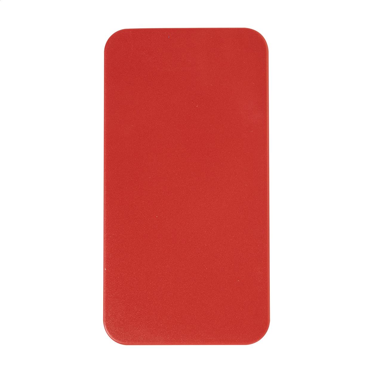 RABS-Powerbank