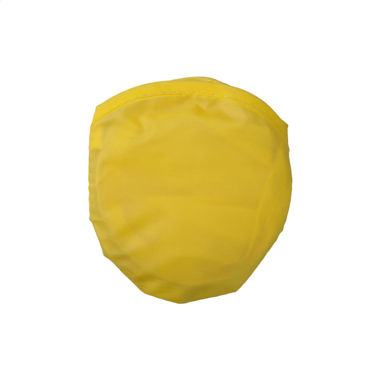 Frisbee