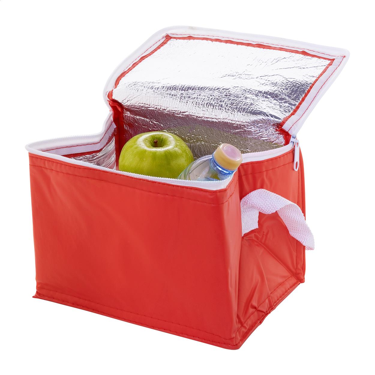 Kühltasche