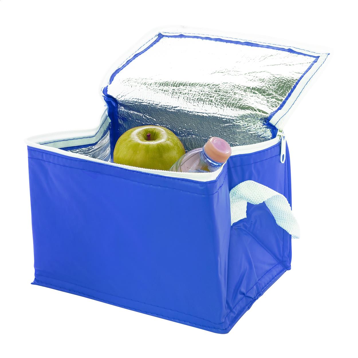 Kühltasche